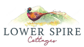Lower Spire Logo